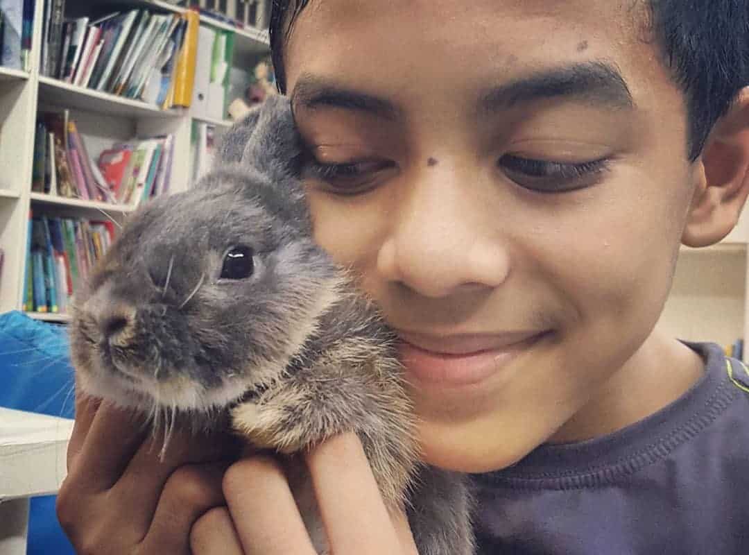 A child cradles a rabbit in his arms