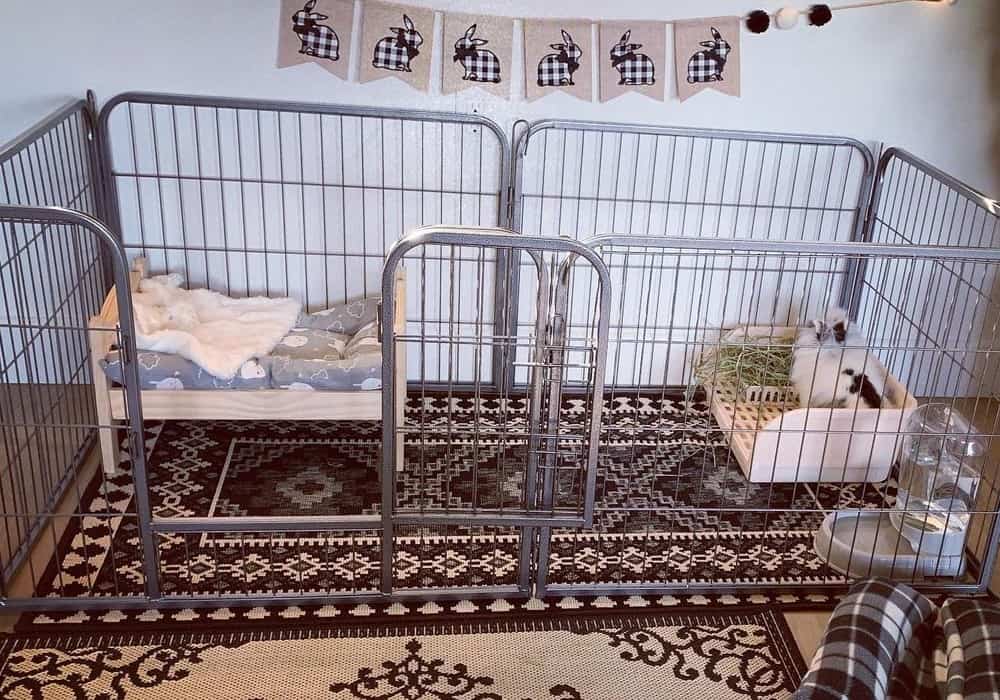 The cage for rabbits is beautiful