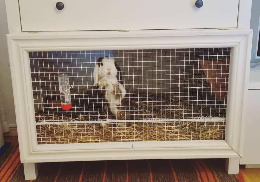 The cage for rabbits is beautiful