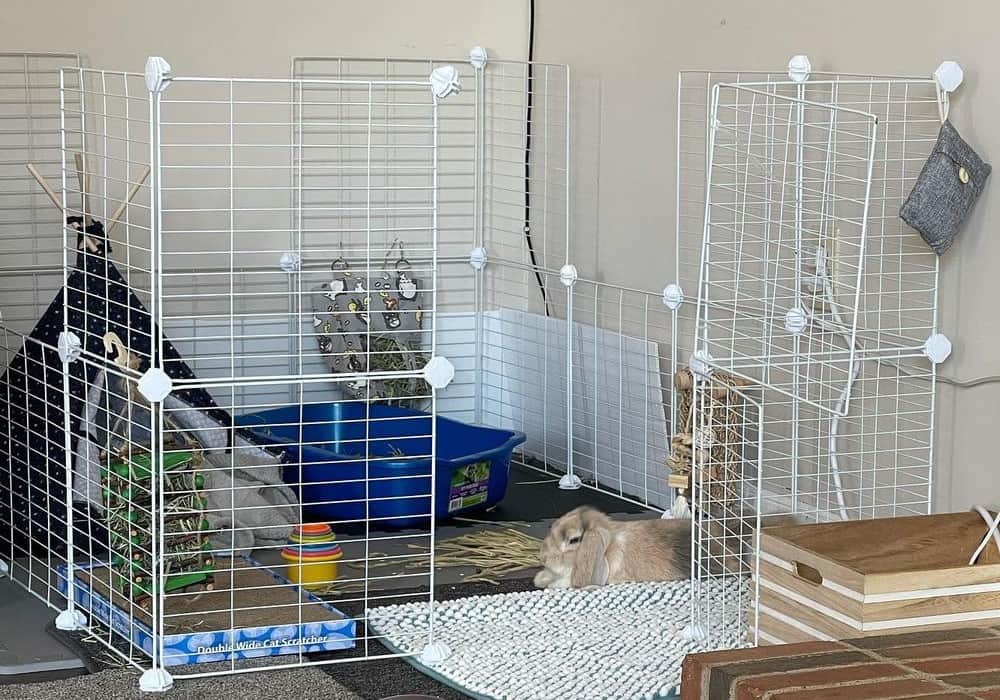 Rabbit cage in the house