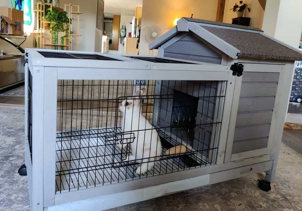 Rabbit cage in the house