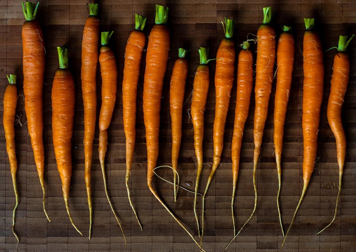Carrots - image 1