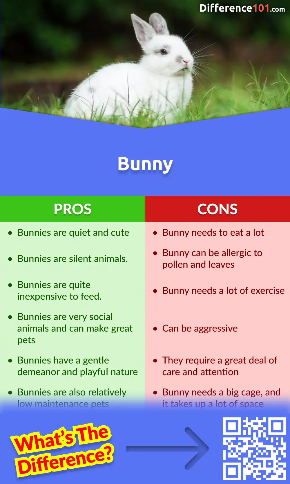Advantages And Disadvantages Of Different Rabbit Breeds