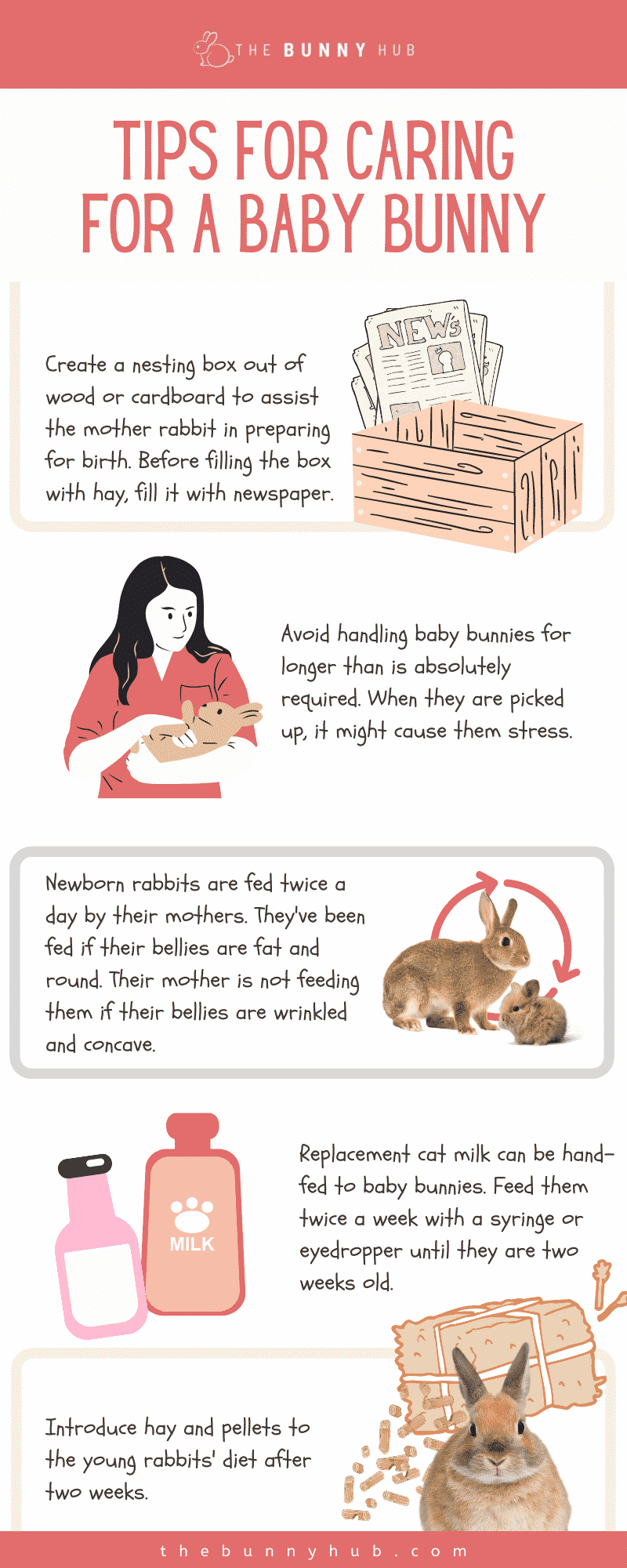 Caring For The Rabbit Babies