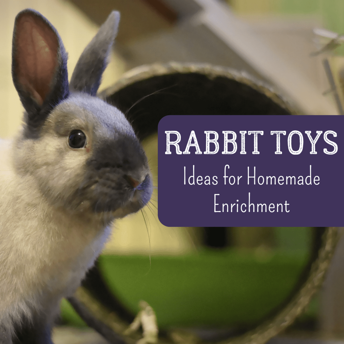 Diy Projects For Rabbit Toys