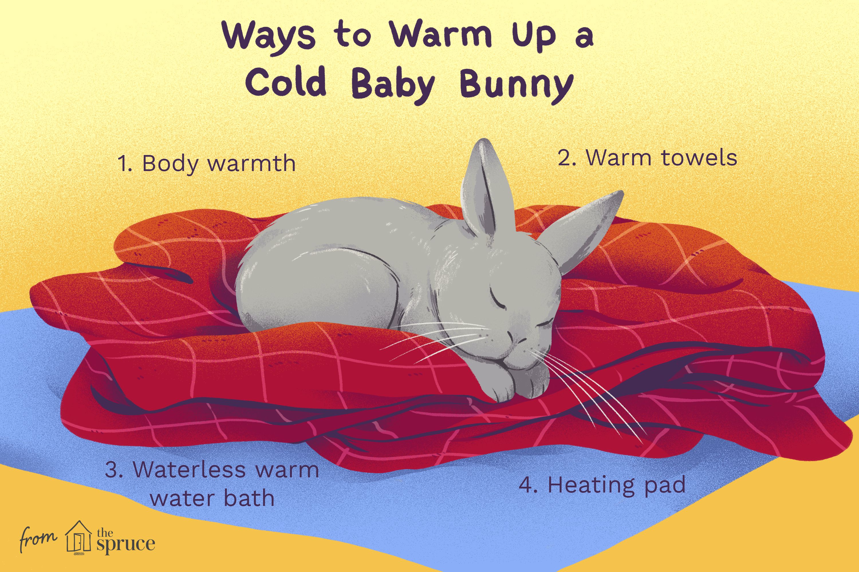 How To Keep Baby Bunnies Warm