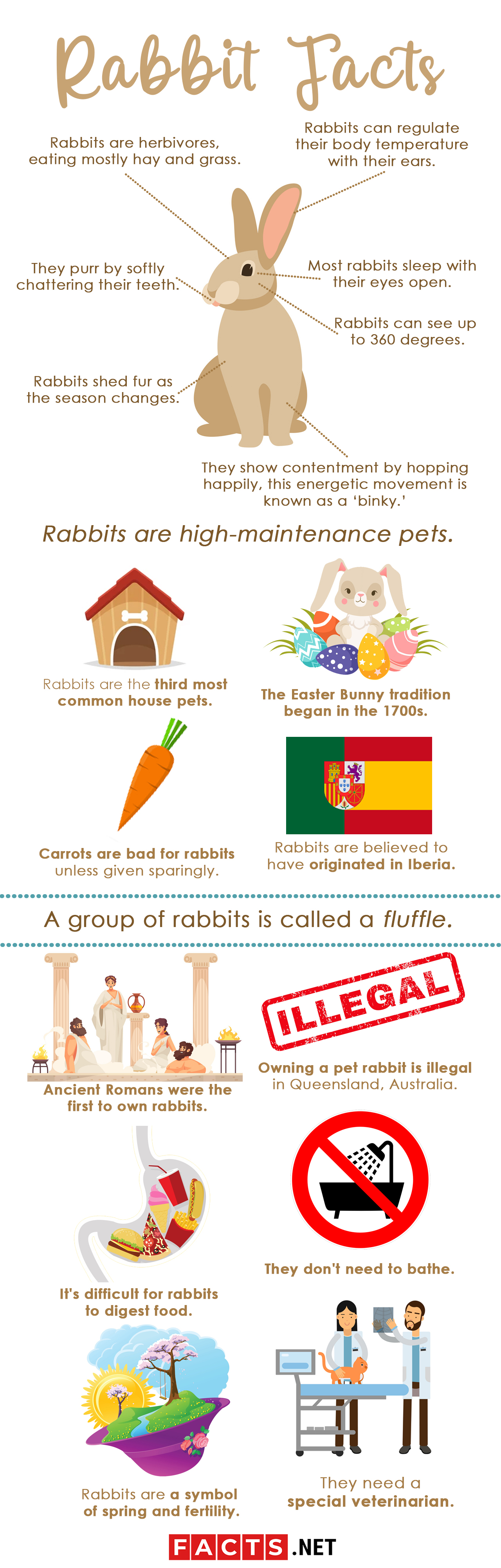 Overview Of Rabbit Behavior
