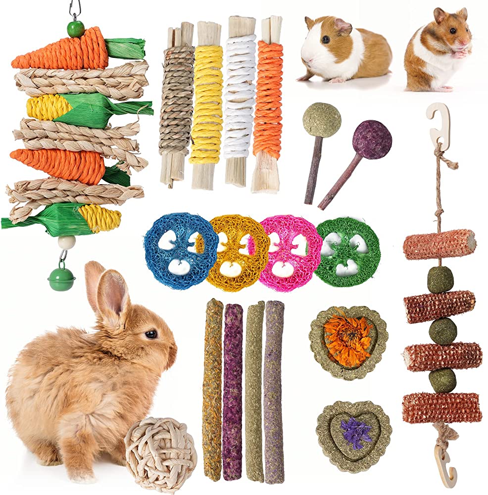 Types Of Pet Bunny Toys